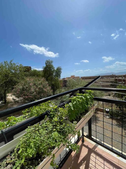 “tuvixeddu” Cagliari